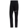 Adidas Terrex - Terrex Techrock Mountaineering - Walking Trousers