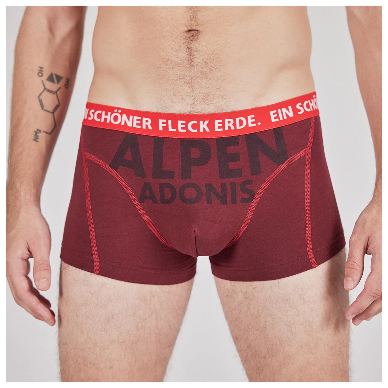 Ein Schöner Fleck Erde - Alpenadonis - Briefs 4 Ein Schöner Fleck Erde - Alpenadonis - Briefs - Image 2