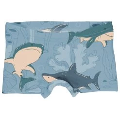 Meyadey - Kid's Briefs Boxers - Briefs 12 Meyadey - Kid's Briefs Boxers - Briefs -Outdoor sportswear meyadey kids briefs boxers briefs 4